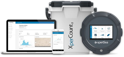 物聯(lián)互聯(lián)，智能養(yǎng)殖 網(wǎng)絡(luò)技術(shù)如何重塑現(xiàn)代水產(chǎn)養(yǎng)殖業(yè)